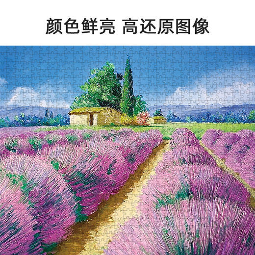 T 古部拼图1000片 商品图6