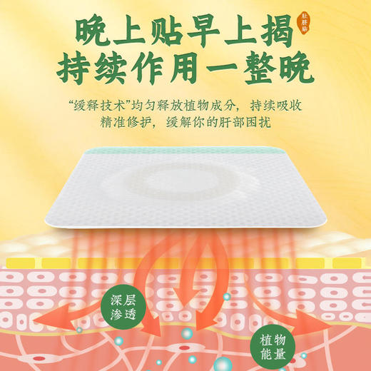 【买3送2】宝识甘の元気肚脐贴黄金蚬贝植物精华肝好人美睡眠好30粒+30贴/盒 商品图4