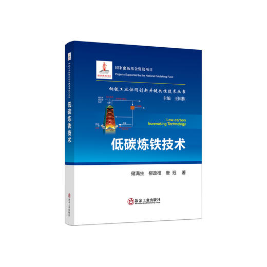 低碳炼铁技术/储满生,.柳政根,唐珏 商品图0