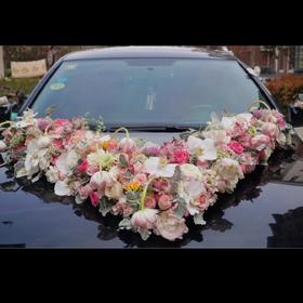 高端蝴蝶兰婚车