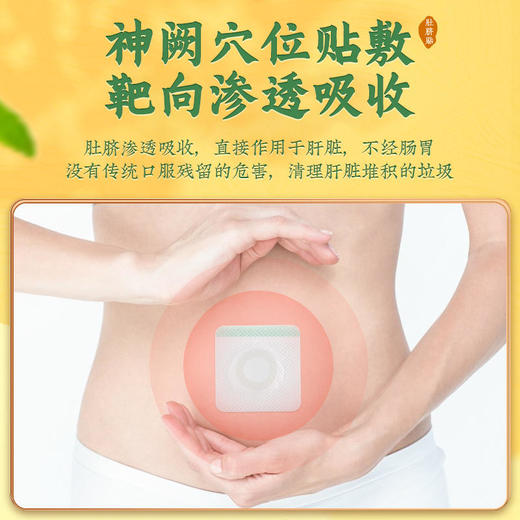 【买3送2】宝识甘の元気肚脐贴黄金蚬贝植物精华肝好人美睡眠好30粒+30贴/盒 商品图3