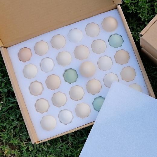 生态牧草蛋 商品图3