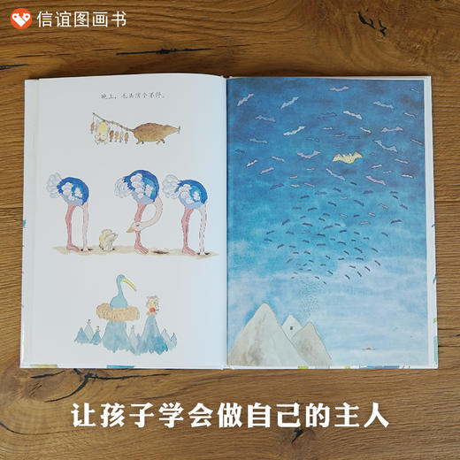 信谊世界精选图画书：毛头小鹰   精装 商品图2