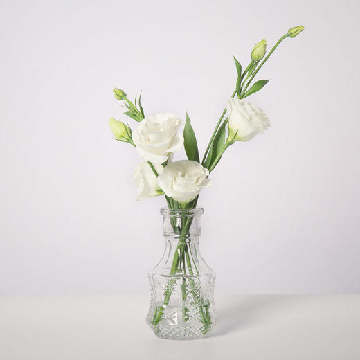 洋桔梗 商品图8