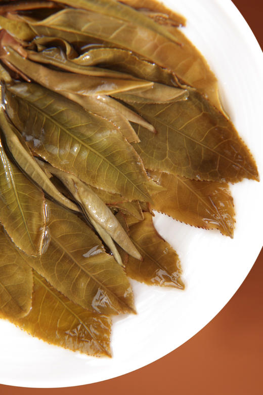 八马信记号|普洱生茶 信记号冲天金高杆老树普洱（357克） C139902 商品图3