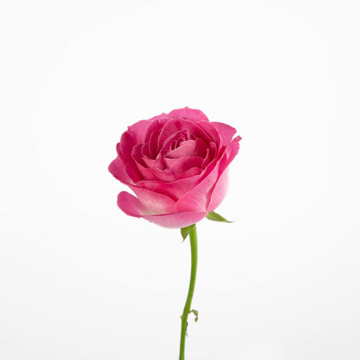 糖果雪山 商品图0