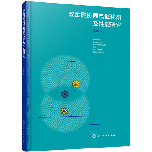 双金属协同电催化剂及性能研究 商品图0