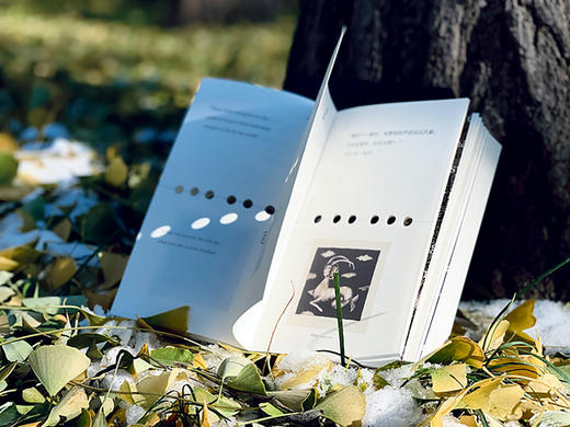 迷途之鸟 商品图4