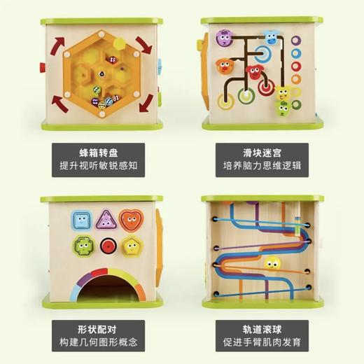 【品牌直供】Hape开心农场 森林动物 商品图2