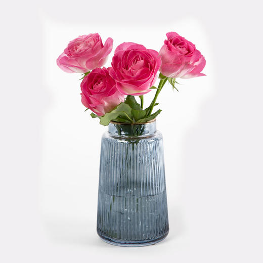 糖果雪山 商品图1