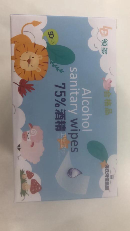 近效商品，介意勿拍！！KJ领多 75%酒精卫生湿巾160mm/盒 效期至2024年10月 介意勿拍 商品图0