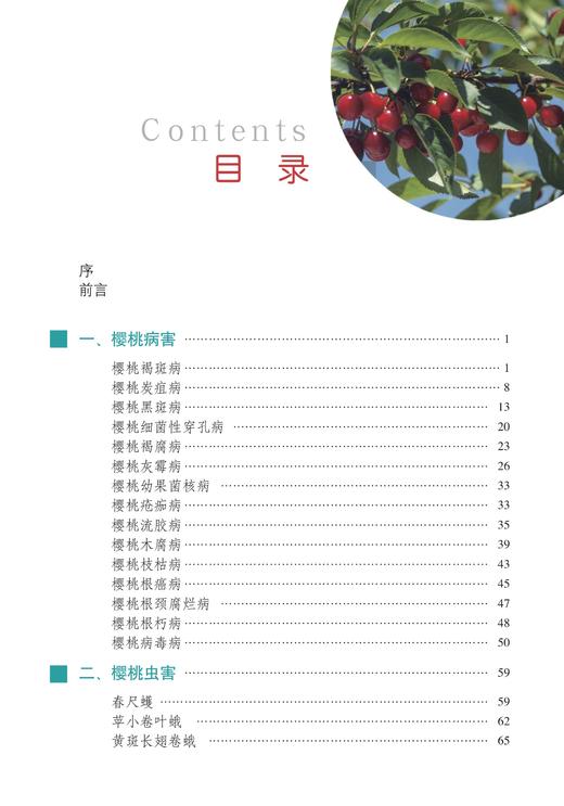 樱桃病虫害诊断与防治原色图谱【中国农业出版社官方正版，可开发票，下单时留开票信息和电子邮箱】 商品图2