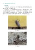樱桃病虫害诊断与防治原色图谱【中国农业出版社官方正版，可开发票，下单时留开票信息和电子邮箱】 商品缩略图6