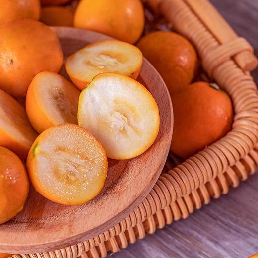 【广西•脆蜜金桔】地标产品，升级版金桔，皮薄脆爽，甘甜多汁，无籽化渣，带皮吃甜蜜可口~ 商品图1