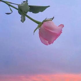 心理测试：超准的5道测试题，一眼看穿你的心！