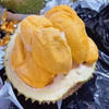马来西亚“液氮”黑刺榴莲-产量很低，口感香糯甜，焦糖甜，冰淇淋般细腻丝滑，微微回苦 商品缩略图3