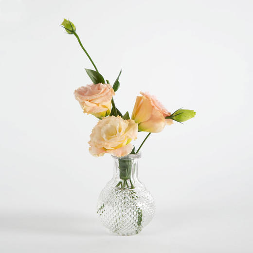 洋桔梗 商品图1