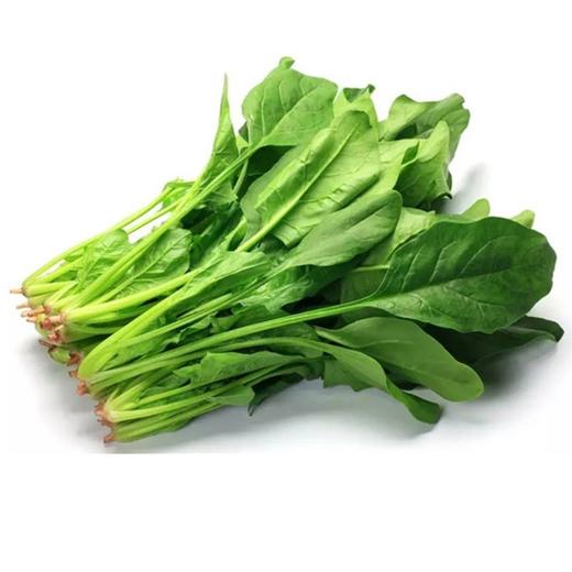 菠菜 商品图0