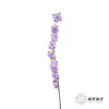 永生花材 ｜ 棉花紫色 商品缩略图1