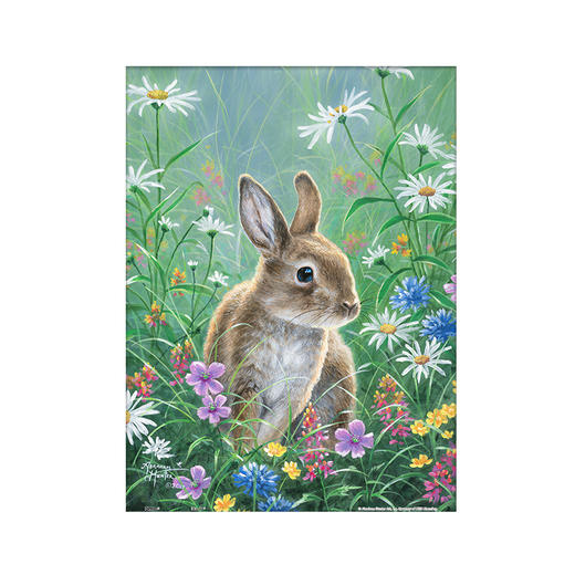 300片 平面拼图 塑料拼图 H2082 Abraham Hunter-小野兔 商品图0