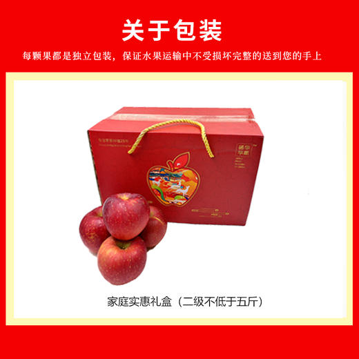 【福虎献瑞】威宁杨华冰心苹果 绿标认证 脆甜多汁 家庭实惠礼盒（二级约五斤）【GY】 商品图5