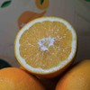 生态种植赣南脐橙 5/10/20斤 商品缩略图3