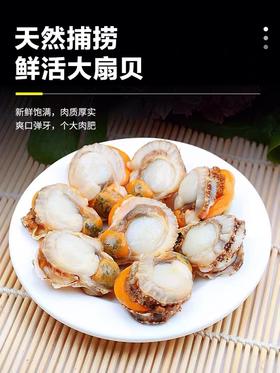 【200g*6袋顺丰包邮】青岛本地扇贝肉—带黄带膏大个海鲜