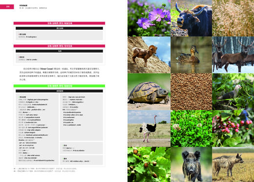 烹饪的起源 商品图6