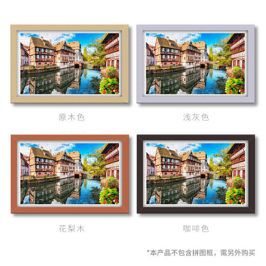 1000片 平面拼图 塑料拼图 H1597 法国-全史特拉斯堡 商品图2