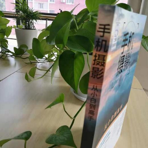 手机摄影从小白到高手 手机摄影书籍自学教程书 手机拍照技巧教程 手机拍照书籍大全教材书 华为手机摄影从入门到精通大师技巧书籍 商品图3