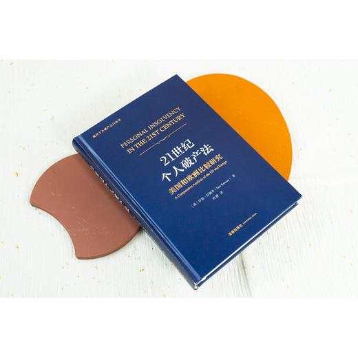 21世纪个人破产法(美国和欧洲比较研究)/推开个人破产之门丛书 商品图3