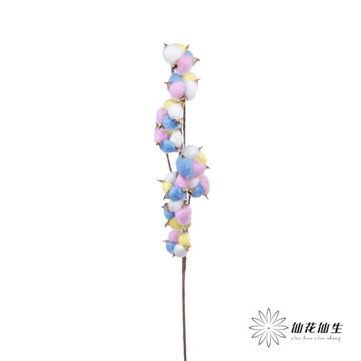 永生花材 ｜ 棉花七彩 商品图3