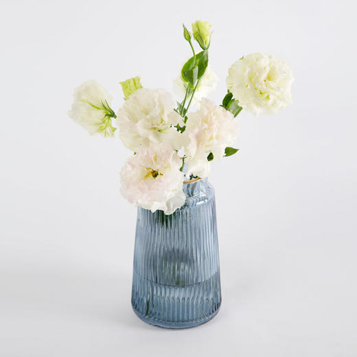 洋桔梗 商品图12