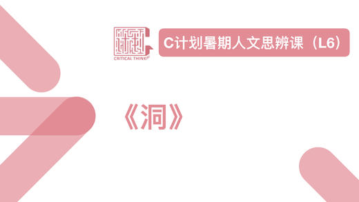 导读-《洞》 商品图0