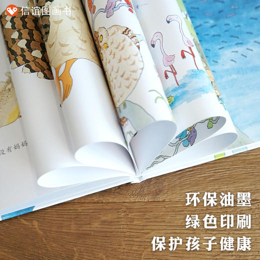 信谊世界精选图画书：毛头小鹰   精装 商品图3