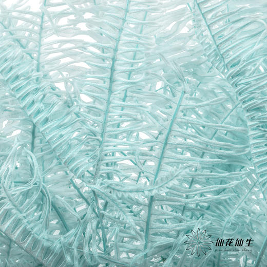 永生花材 ｜ 芒其叶蒂芙尼蓝 商品图3