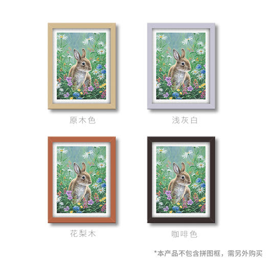 300片 平面拼图 塑料拼图 H2082 Abraham Hunter-小野兔 商品图2