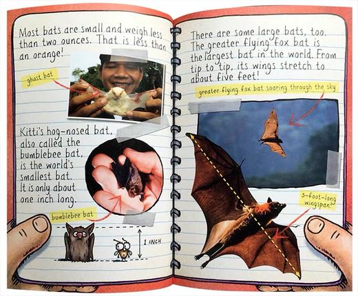 【5-12岁·双语讲读视频课】苍蝇小子百科绘本 Fly Guy Presents 全26讲【15册书可选】 商品图4