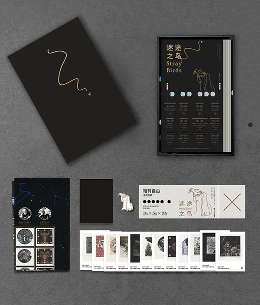 迷途之鸟 商品图1