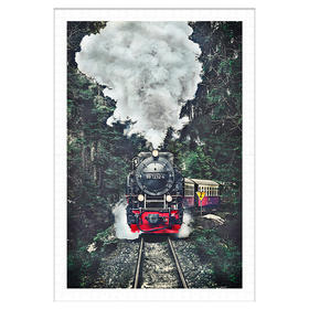 【折扣商品 不退不换】600片 平面拼图 塑料拼图 H2159 瑞士蒸气火车