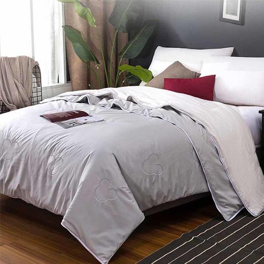 迪士尼羊毛被暖冬组 商品图0