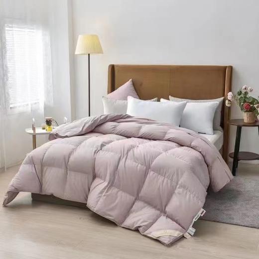 5F罗曼罗兰大米波兰进口可视鹅绒被 商品图1