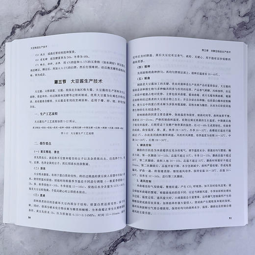 大豆制品生产技术 商品图9