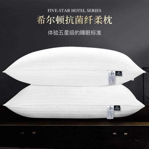 康尔馨 希尔顿抗菌纤柔枕 商品图0