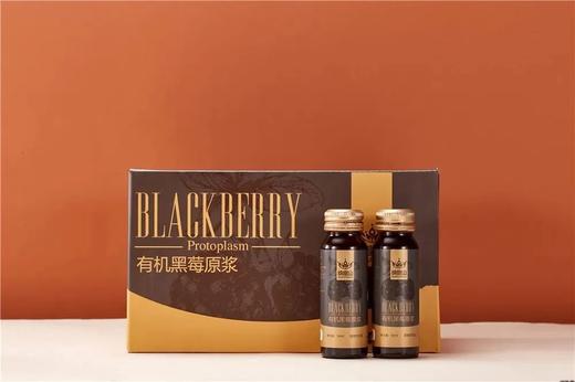纳富山有机黑莓原浆 花青素绿色健康饮品 50ML*60瓶/箱 四盒装 商品图2