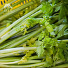 生态西芹 | 合作生产*Eco- celery | Coproducted 商品缩略图1