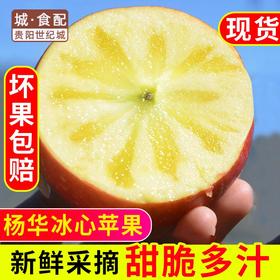 【GY】威宁杨华冰心苹果 绿标认证 脆甜多汁 特级礼盒（10-12个约五斤）