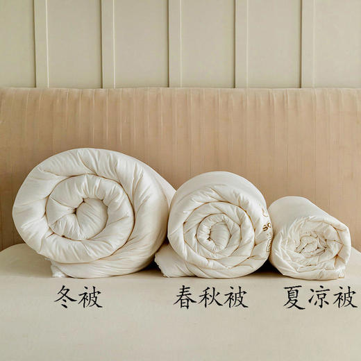 【大豆蛋白纤维&春秋被】全棉大豆白纤维，亲肤透气柔软蓬松保暖 吸湿透气 无甲醛  三种 尺寸任选 商品图7