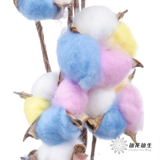 永生花材 ｜ 棉花七彩 商品图2