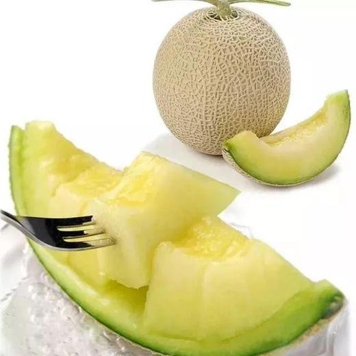 japanrmelon日本玫珑瓜1个